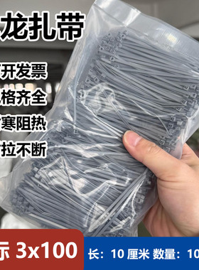 3x100银灰色尼龙扎带束线带耐寒阻燃耐拉小绑带勒死狗自锁式2.5mm