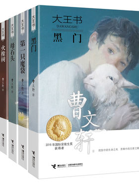 曹文轩大王书全5册第一二只魔袋
