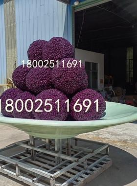 定制扶贫帮扶标志玻璃钢杨梅水果盘篮雕塑荔枝IP形象卡通人物摆件