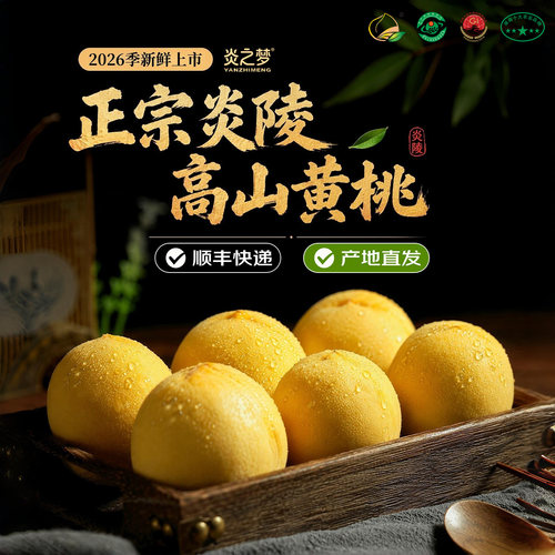 正宗湖南炎陵黄桃高山红心大桃子