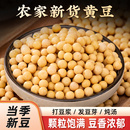农家黄豆500g新黄豆颗粒饱黄豆打豆浆专用黄豆多规格可选