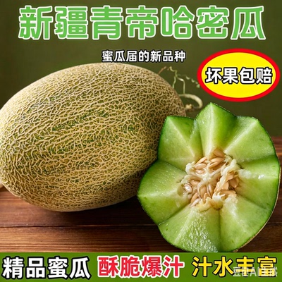 【精品蜜瓜】海南青帝绿肉哈密瓜网纹蜜瓜冰淇淋甜瓜一藤一瓜水果