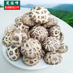 楚国峰大花菇金钱菇剪脚冬菇批菌菇商用白蘑菇干货500g包邮