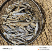 湘西农家自晒小鱼干