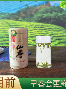 熙敬2025明前头采仙毫绿茶