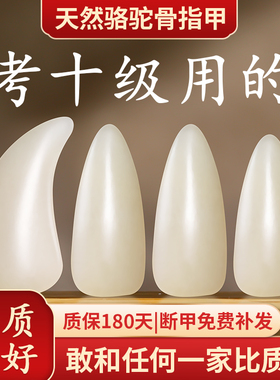 骆驼骨古筝指甲儿童专用胶布成人专业演奏级义甲送胶带小学生考级