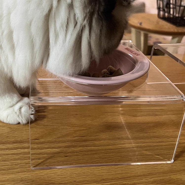 亚克力猫碗架宠物防打翻碗架图片