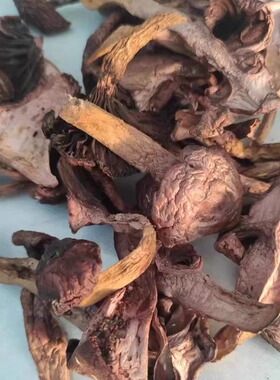 吉林省野生红蘑菇300g新品包邮炒菜炖菜煲汤火锅传统白山干货食材