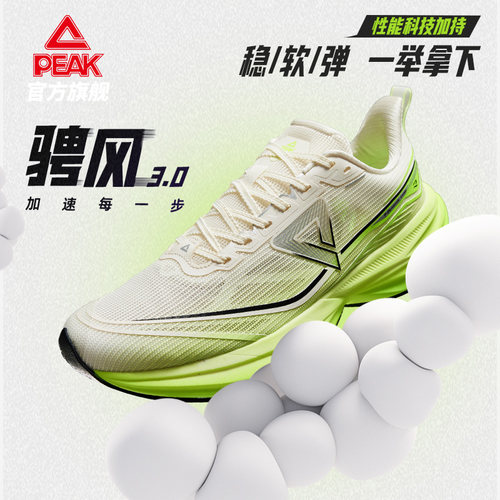 匹克骋风3.0青少年竞速跑鞋男鞋