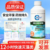 清特尔游泳池除藻剂灭藻剂预防水绿强效环保型杀藻剂水质净化澄清