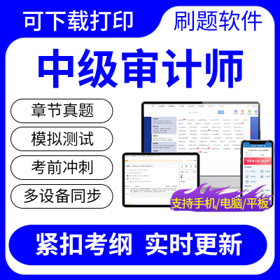 2024中级审计师考试题库中级职称专业相关知识理论与实务历年真题