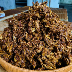 上新纯古法手作山界红糖姜 有隆回正宗山界红糖