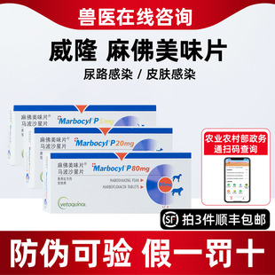 威隆麻佛美味片脓皮感冒犬猫马波沙星片皮肤病宠物消炎麻佛美味片