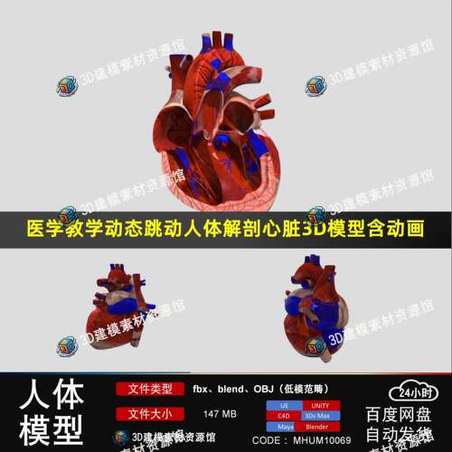 ue医学教学动态跳动人体解剖心脏3D模型含动画max/maya/c4d/blend