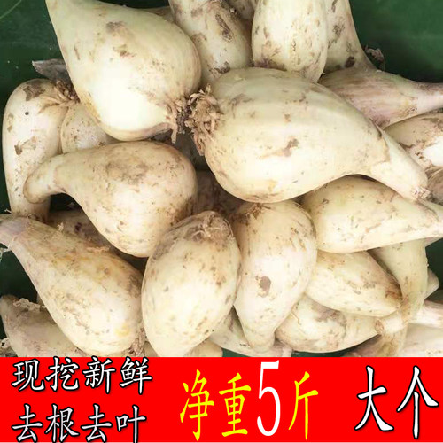 贵州大藠头教头新鲜现挖藠头农家自种茭头叫头荞头新鲜当季蔬菜