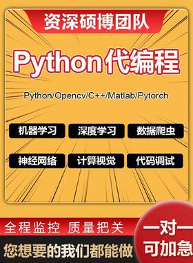 python深度学习算法cv代做跑编程序接单服务指导代码调试编写爬虫