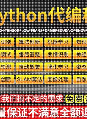 python代码编写深度学习医学图像识别语义分割机器学习强化学习