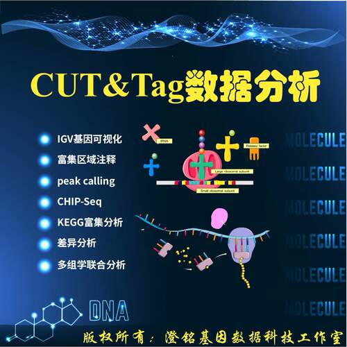 表观遗传学分析/IGV峰图基因Peak可视化/组蛋白/转录因子/CUT&Tag
