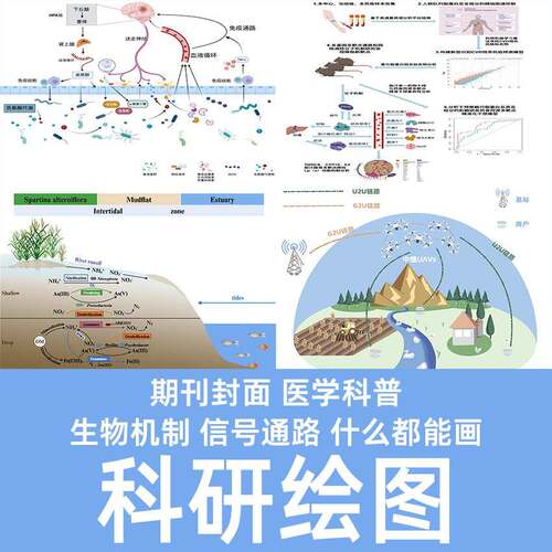 科研绘图代画医学生物TOC机制3d建模封面ppt流程示意图技术路线图