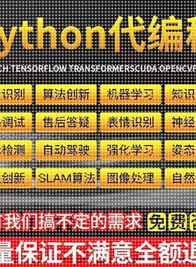python代码编写深度学习医学图像识别语义分割机器学习强化学习