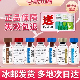 进口英特威二四六联狂犬疫苗狗狗免疫驱虫一套自打套餐犬瘟细小