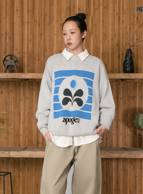 APOGE3阿保机 秋冬季月亮花针织衫外套男宽松套头毛衣女休闲圆领