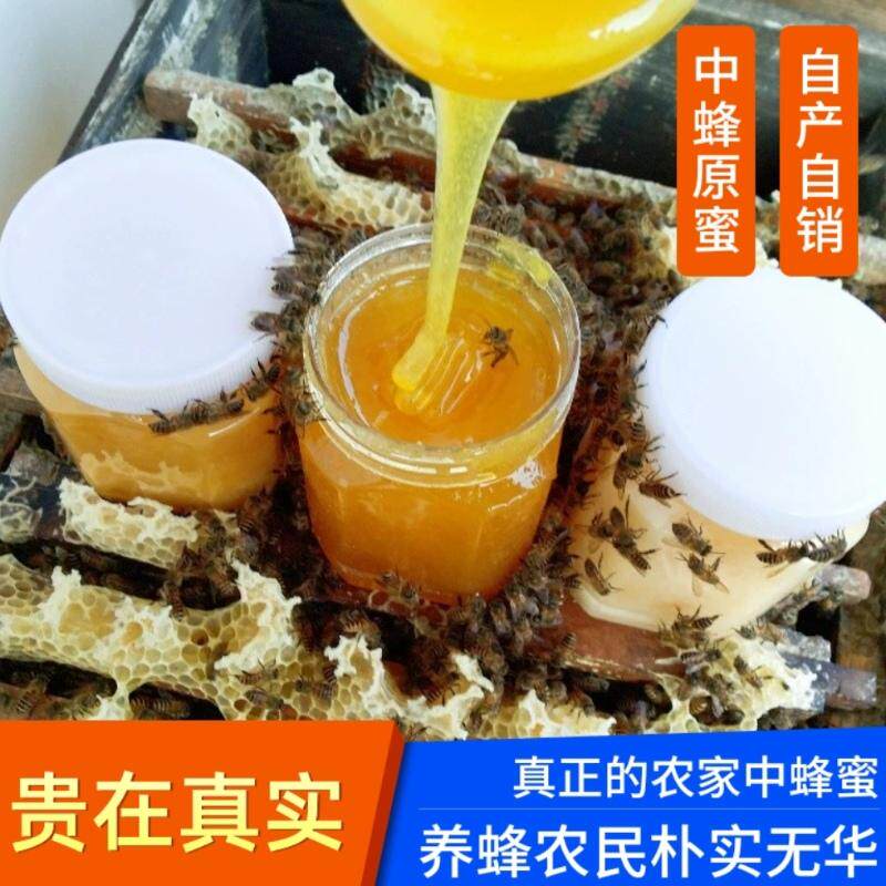 土蜂蜜纯正天然成熟农家自产中蜂原蜜野生高山百花蜜孕妇儿童1斤