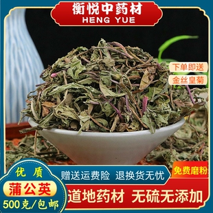 蒲公英中药材野货黄花地丁干草饮婆婆丁片新鲜整棵蒲公英泡茶水喝