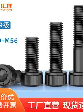 M39M42M48M52M56*x200x300mm12.9级高强度加长螺栓内六角杯头螺钉