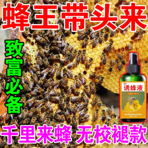 诱蜂膏神器蜂蜡诱蜂用野外用诱蜂水中蜂养蜂招蜂水蜜蜂引诱蜂王