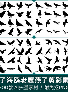 鸽子海鸥老鹰燕子飞鸟动物扁平化剪影光影插画设计AI矢量PNG素材