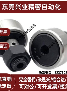 国产BPB01 02 05 BPB11 12 -d3-d4-d5-d6 微型凸轮随动器滚轮轴承