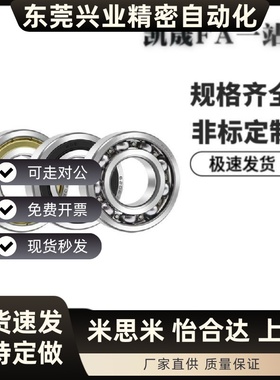 SB6000/6001/6002/6003/6004/6005/6006/6008/6010ZZ深沟滚珠轴承