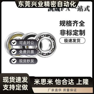 SB6000/6001/6002/6003/6004/6005/6006/6008/6010ZZ深沟滚珠轴承