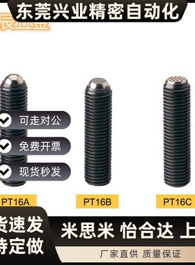平面PT16B-1020/1250/1625~/1645/2060 动向钢珠螺杆夹具螺丝PTB2