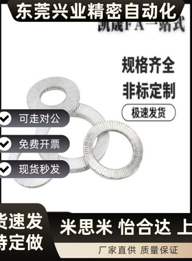 不锈钢双叠垫圈NLDF3/4/5/6/8/10/12/14/16/18/20/22/24/27/30/33