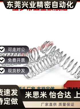 WT3/WT4/WT5/WT6/WT8/WT10/WT13-5/10/15/20/30/40/50/60/70弹簧