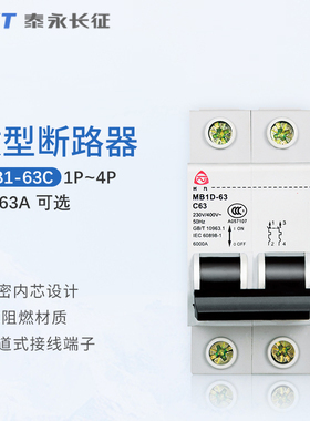 TYT泰永长征长九MB1-63C32家用断路器小型40空气开关16A50A总闸2P