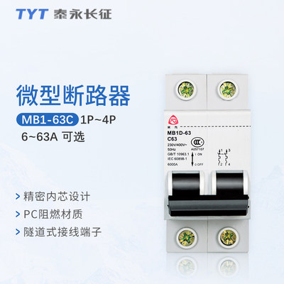 TYT泰永长九家用断路器MB1-63C32