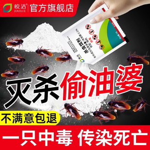 非特效神器除端 灭偷婆油杀虫剂蟑螂药非无毒家用全窝一锅杀樟榔