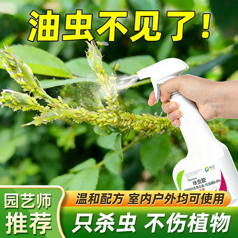 油虫杀虫剂治打油虫的药驱油汗虫药防油粘虫灭蚜虫腻虫蜜虫密虫药