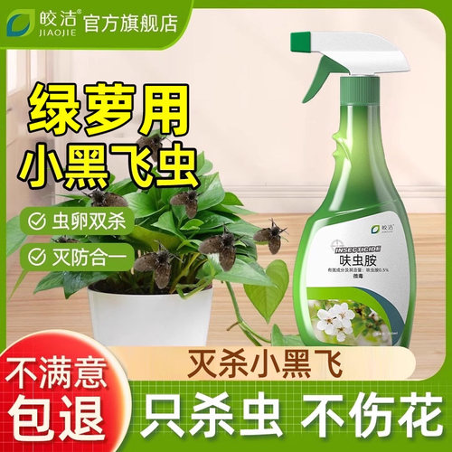 绿萝杀虫剂绿箩非专用除虫小飞虫驱虫打虫药小黑飞长虫生喷剂灭虫