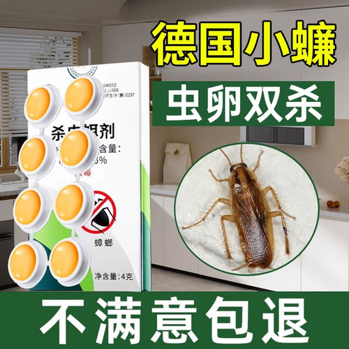 德国小蠊专业灭杀虫卵双杀