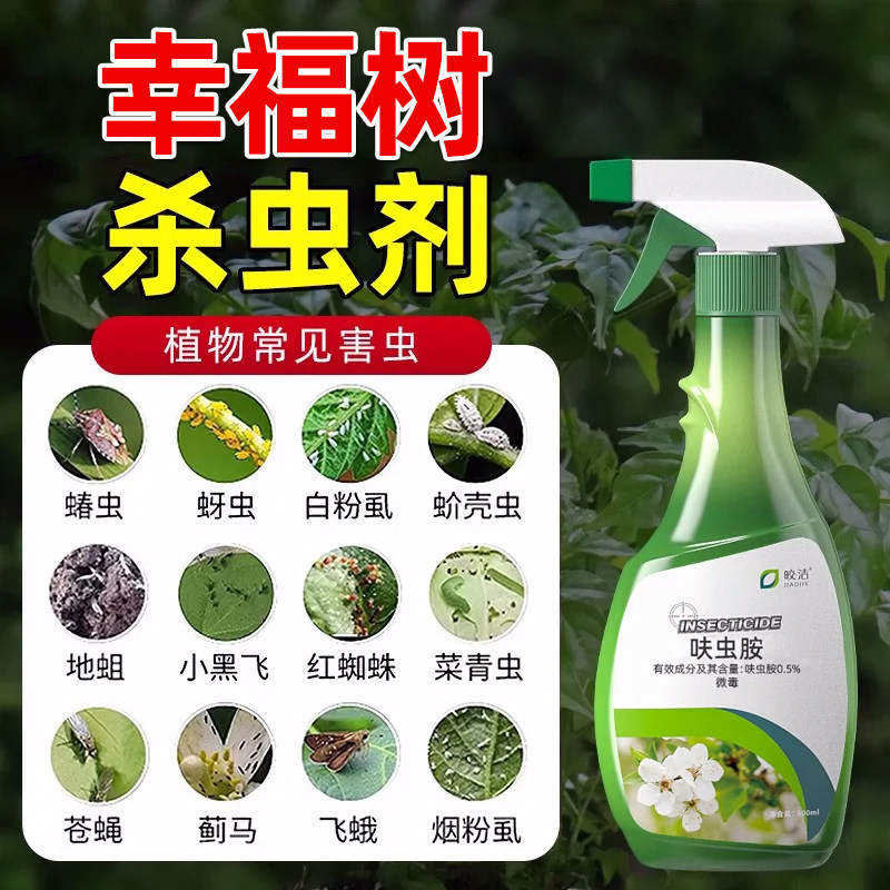 幸福树杀虫药介壳虫蚧壳虫蚜虫芽虫绿植杀虫剂花卉植物除虫专用药