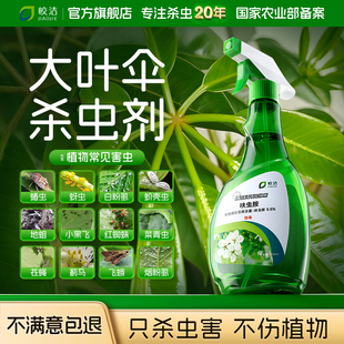 大叶伞杀虫喷剂蚧壳虫非专用驱虫药除花药白粉虱防治粉虱杀治诱捕