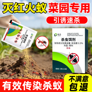 红火蚁药家用户外专用灭小红蚂蚁非全窝端非无毒效特杀野外灭蚁粉