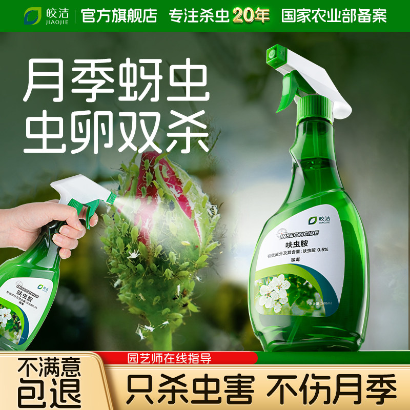 【不满意包退】只杀蚜虫不伤月季