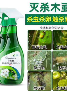 木虱杀虫剂果树专用柑橘黄龙病橘子柚子梨树除虫植物盆栽花卉通用