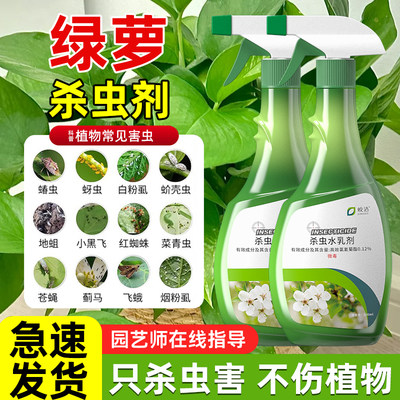 绿萝杀虫剂绿箩除虫小飞虫驱虫打虫药小黑飞长虫生专用喷剂灭虫子