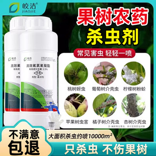 果树杀虫药蚜虫杀虫剂农药大全桃树苹果葡萄橘子樱桃桔李子树专用